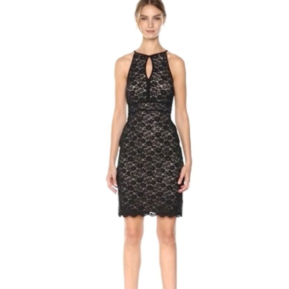 Nightway | Lace Short Banded Cocktail Dress - Picture 1 of 14